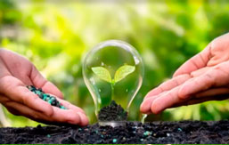 Biotecnologia e Sanidade